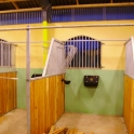 Žirgynų įranga, žirgų gardai, gardai, žirgo gardas, cinkuoti žirgų gardai, nauji žirgų gardai, Žirgynų įranga, žirgų gardai, gardai, žirgo gardas, cinkuoti žirgų gardai, nauji žirgų gardai, Žirgynų įranga, žirgų gardai, gardai, ž